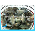 CONGELADO NEGRO TILAPIA PECES ENTERO RONDA IQF IWP